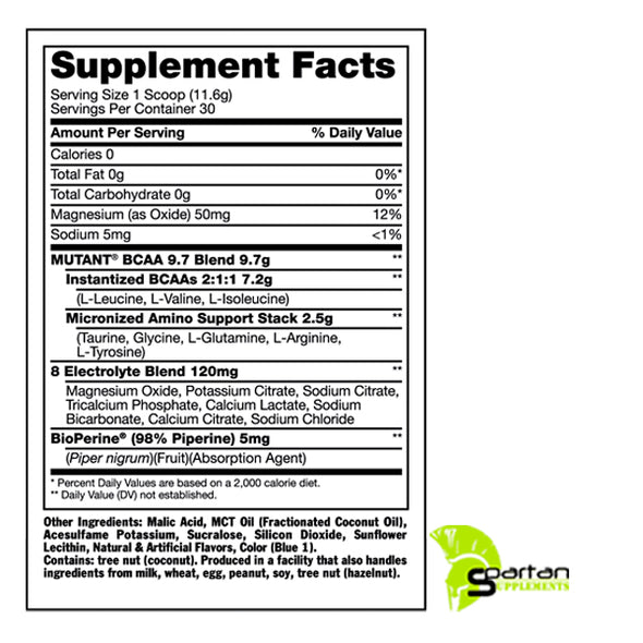 BCAA 9.7 30 SERVICIOS